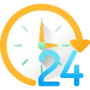 24/7 Expert Tutor Support